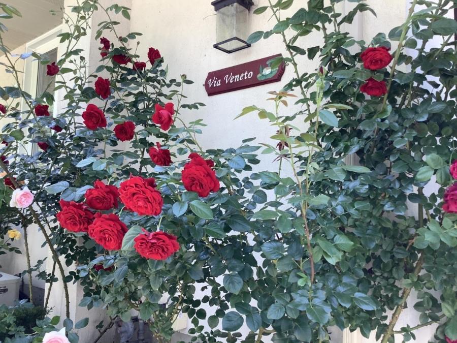 나이아가라온더레이크 Via Veneto - Old Town B&B 외부 사진